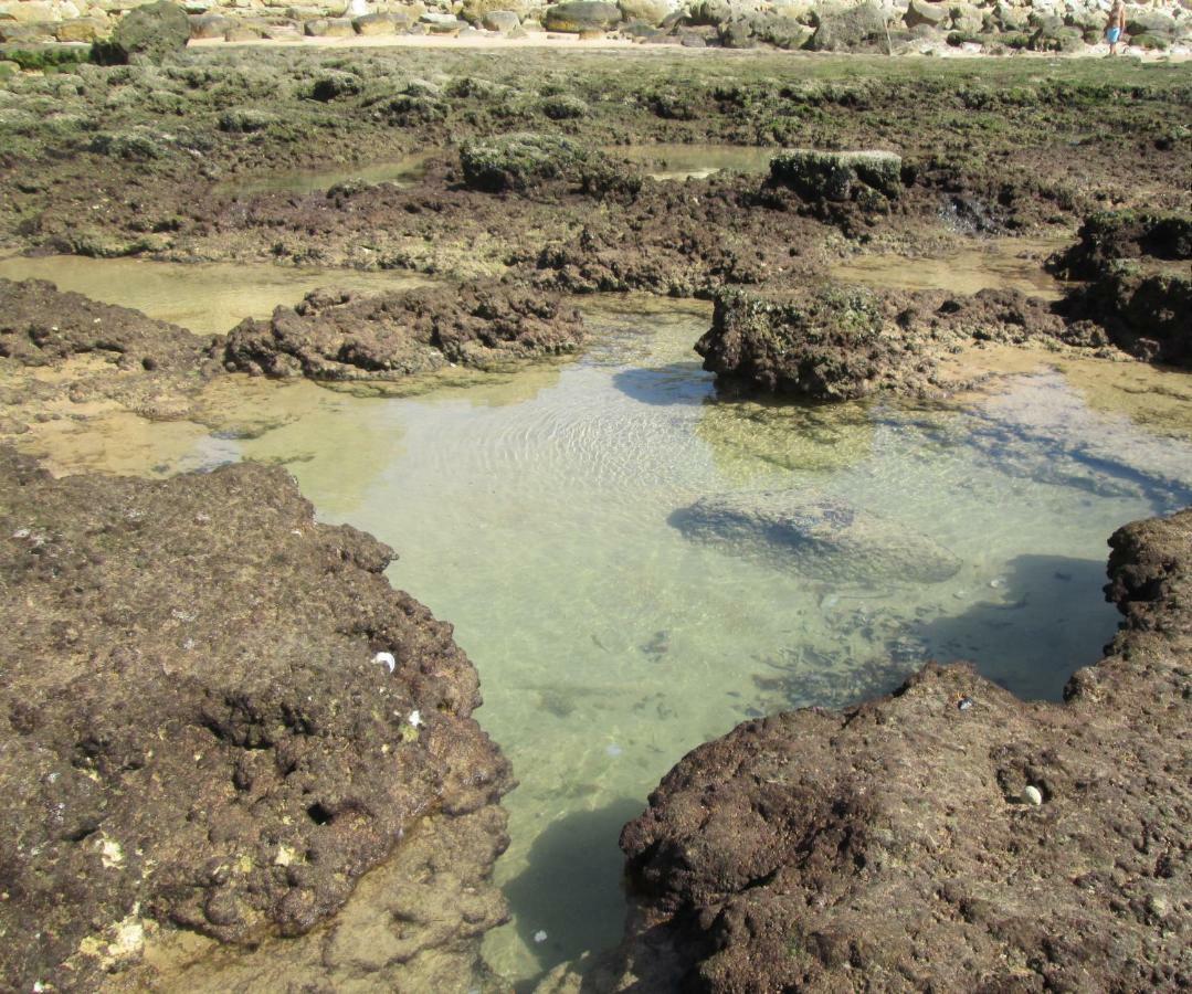 Apartamento Mica البوفيرا المظهر الخارجي الصورة